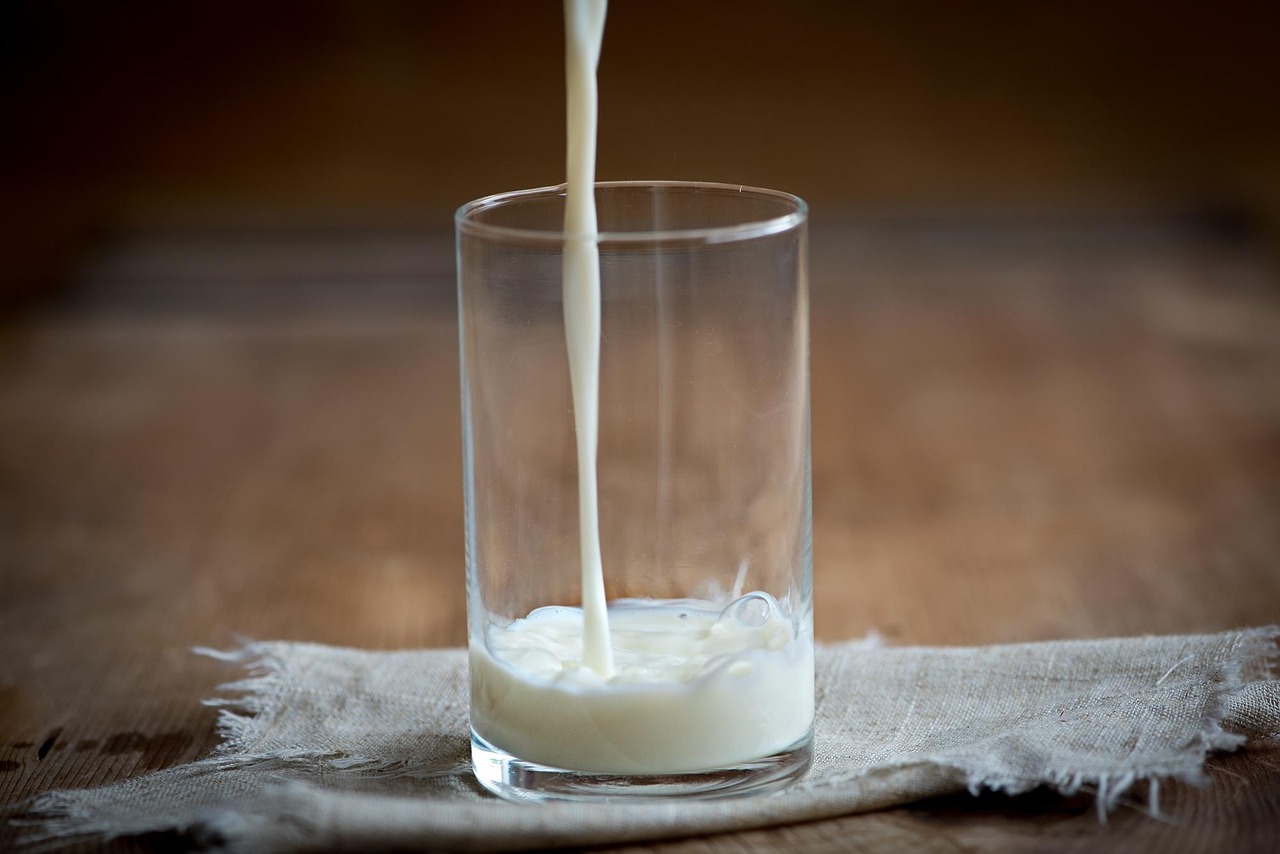 glass, milk, white, cow's milk, drink, fresh, food, whole milk, protein, give a, pour a, flow, milk stream, nature, liquid, wet, close up, nourishment, animal, animal product
