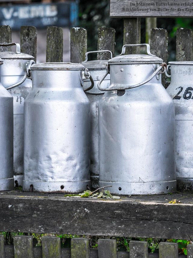 milk cans, can, milk, agriculture, dairy farming, vessel, milk, milk, milk, milk, milk, dairy farming