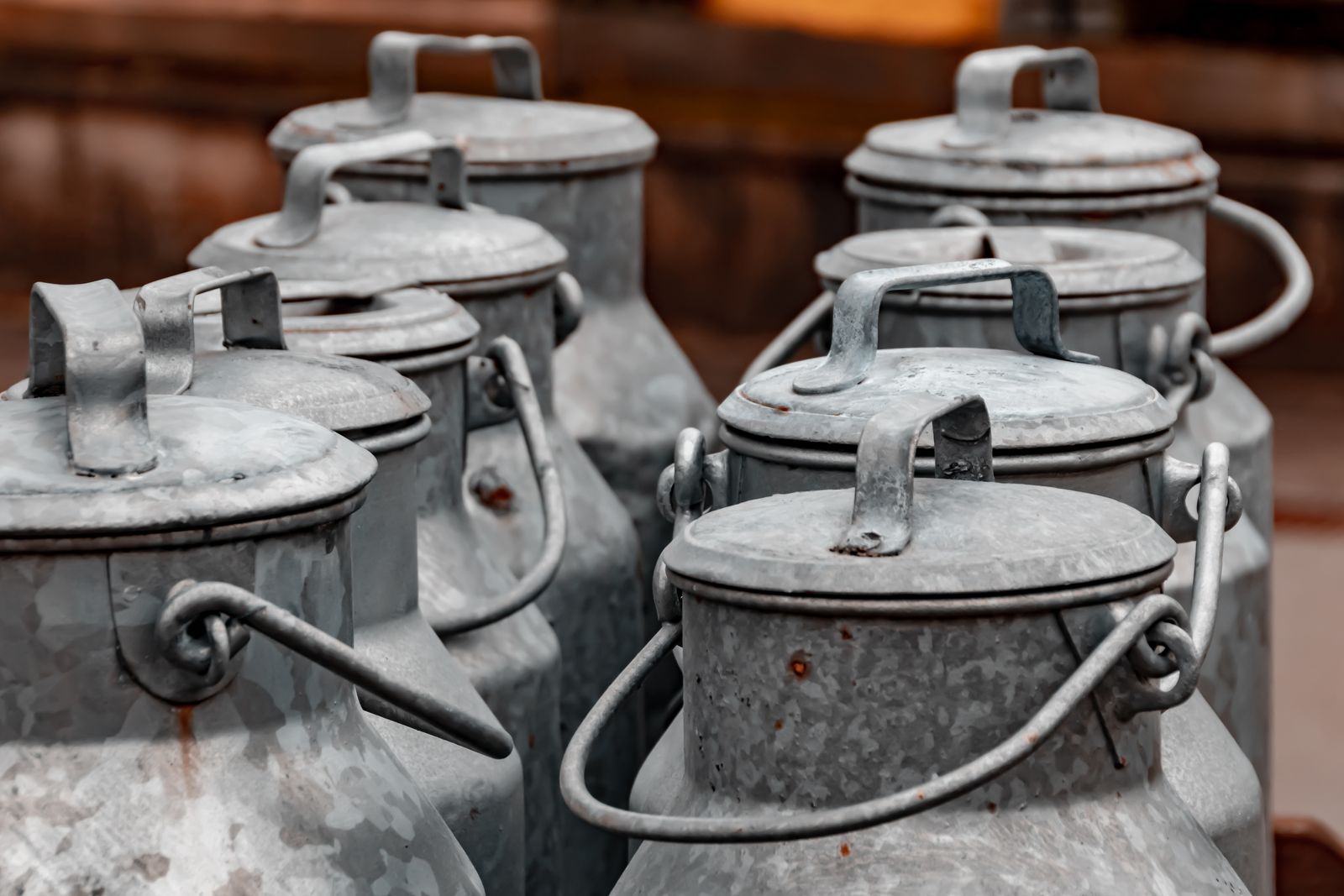 A close-up of vintage metal milk cans arranged in an outdoor rustic setting.