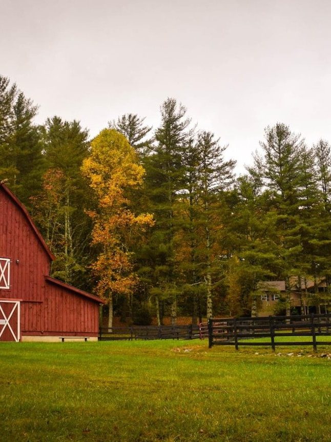 barn surrounded by trees